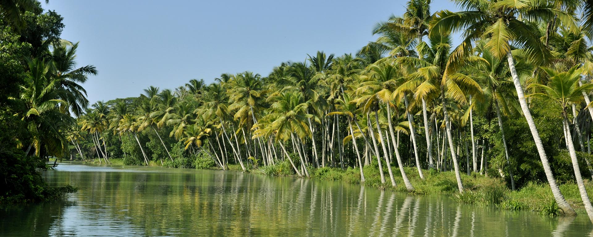 Poovar Backwater